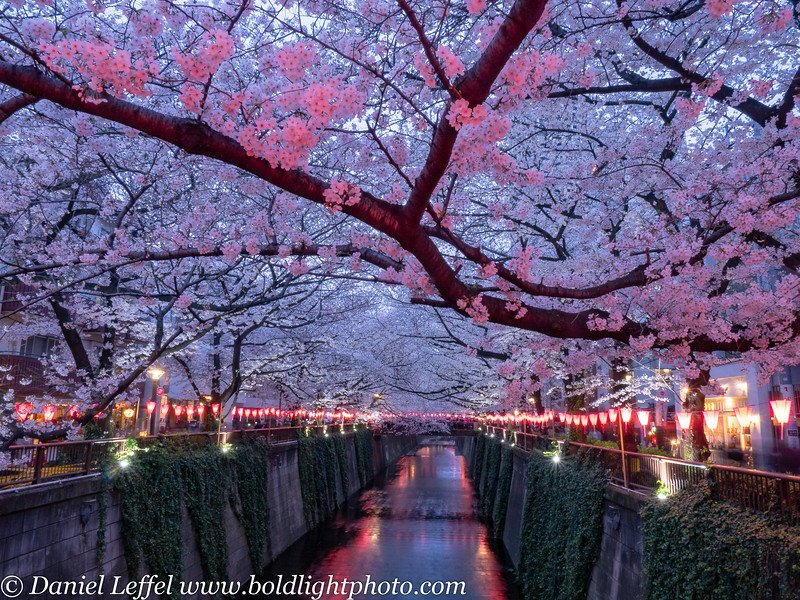 🌳 메구로 구립 코마바노 공원 이미지 6